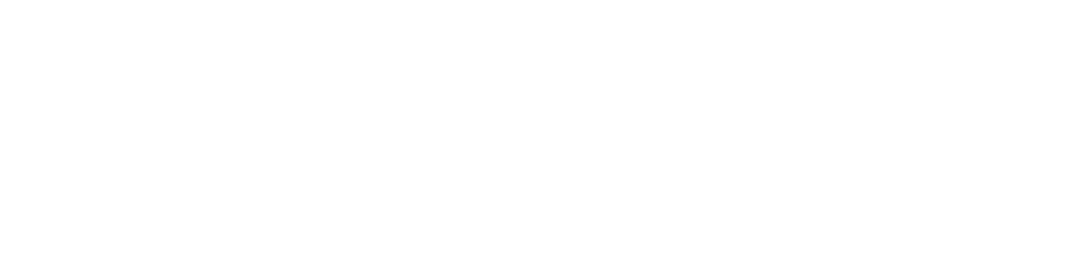 Revibex Logo ERP və POS sistemi